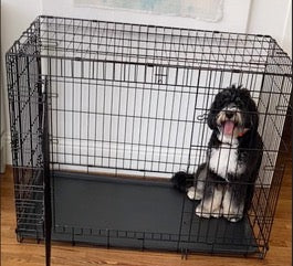 How to pick a dog crate