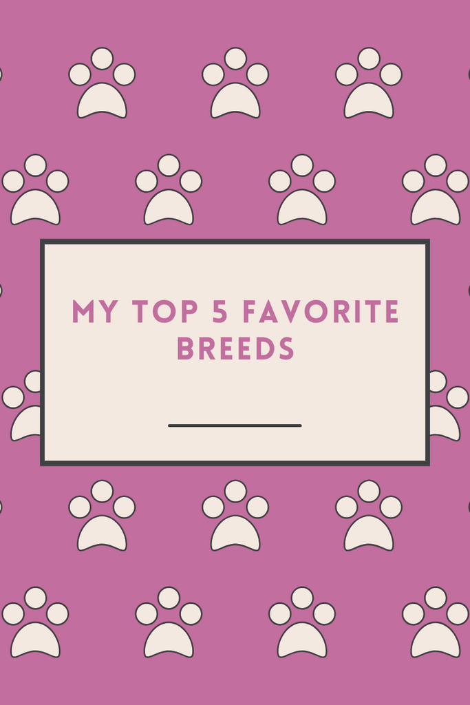 My Top 5 Favorite Breeds