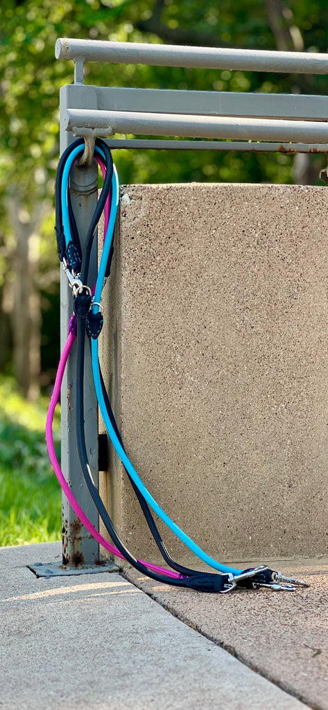 The City Leash