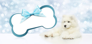 Canines First Online Gift Card