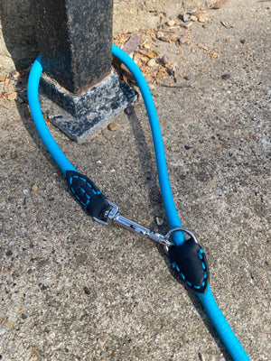 The City Leash